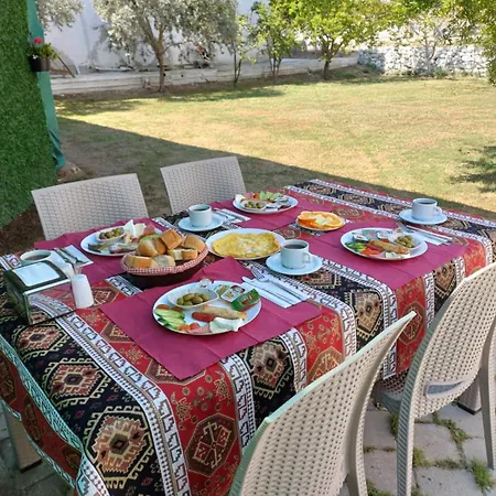 Szálloda Olive House