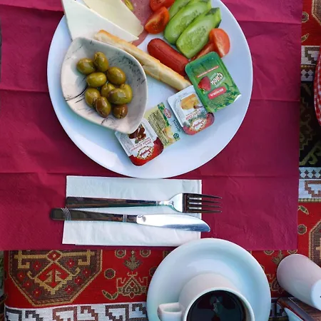 호텔 Olive House *