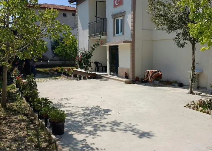 Olive House Ξενοδοχείο *