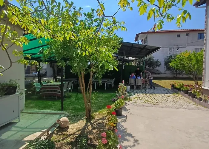 Hotel Olive House