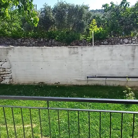 Olive House מלון