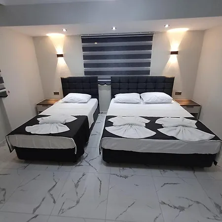 Hotel Olive House
