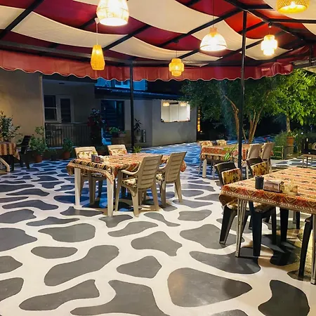 Olive House מלון *