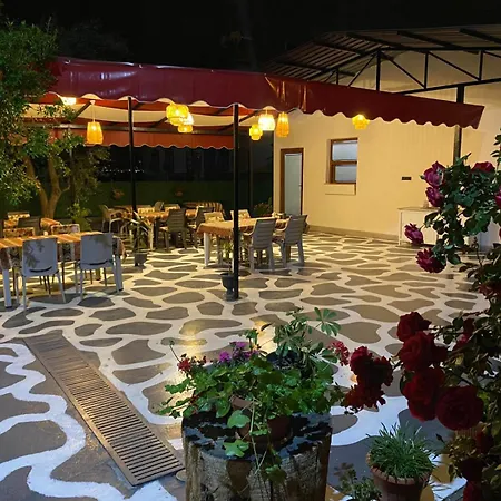 מלון Olive House *