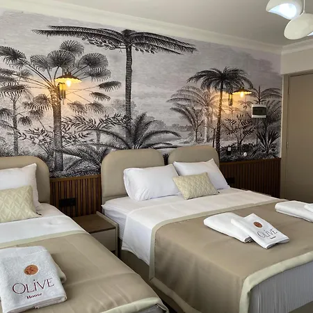 Olive House מלון פמוקלה